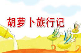 大班科学胡萝卜旅行记PPT课件