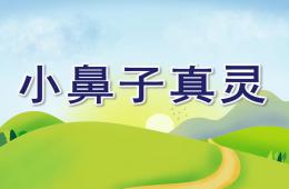 中班安全小鼻子真灵PPT课件