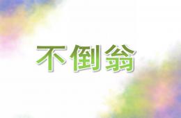 大班科学不倒翁PPT课件