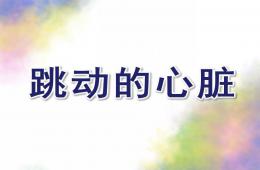 大班科学跳动的心脏PPT课件