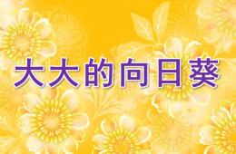 幼儿园大大的向日葵PPT课件
