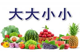 小班数学活动大大小小PPT课件