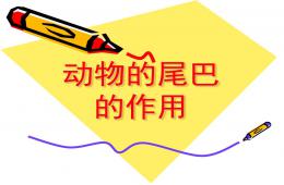 中班动物的尾巴的作用PPT课件