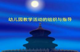 幼儿园教学活动的组织与指导PPT课件