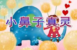 中班安全教育小鼻子真灵PPT课件