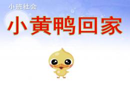 小班社会小黄鸭回家PPT课件