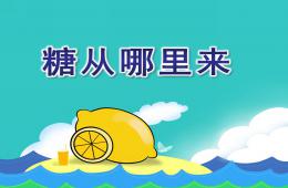 大班科学糖从哪里来PPT课件