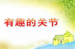 大班科学有趣的关节PPT课件