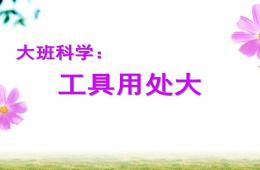 大班科学工具用处大PPT课件