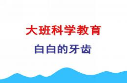 中班说课稿白白的牙齿PPT课件