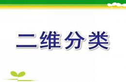 大班数学二维分类PPT课件
