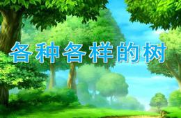 大班社会各种各样的树PPT课件