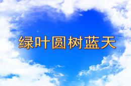 大班美术绿叶圆树蓝天PPT课件