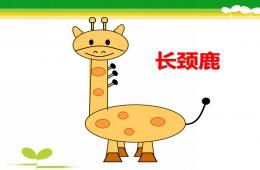 中班美术长颈鹿PPT课件