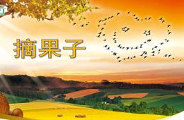 中班音乐摘果子PPT课件