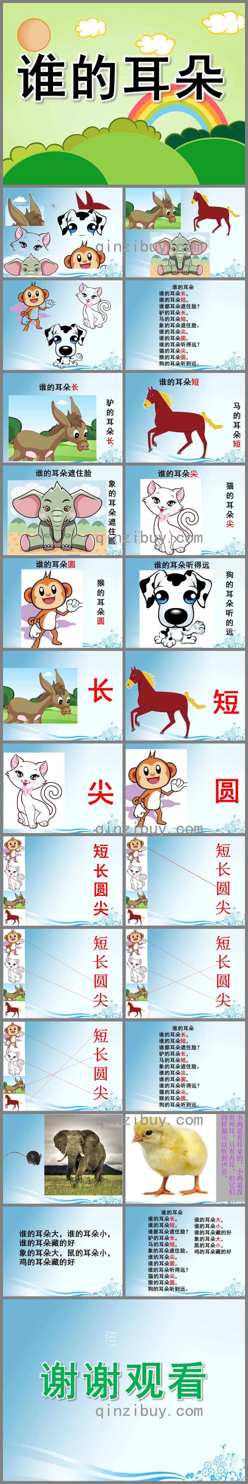 中班语言诗歌谁的耳朵PPT课件音乐