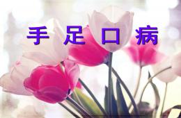 幼儿园手足口病培训PPT