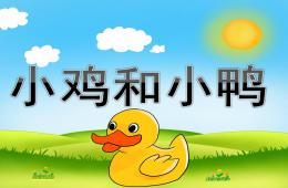 小班科学优质课小鸡和小鸭PPT课件