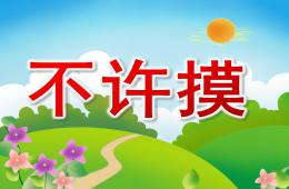 中班健康活动不许摸PPT课件