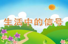 大班科学生活中的信号PPT课件