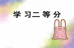 大班数学二等分PPT课件