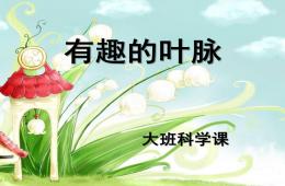 大班科学有趣的叶脉PPT课件