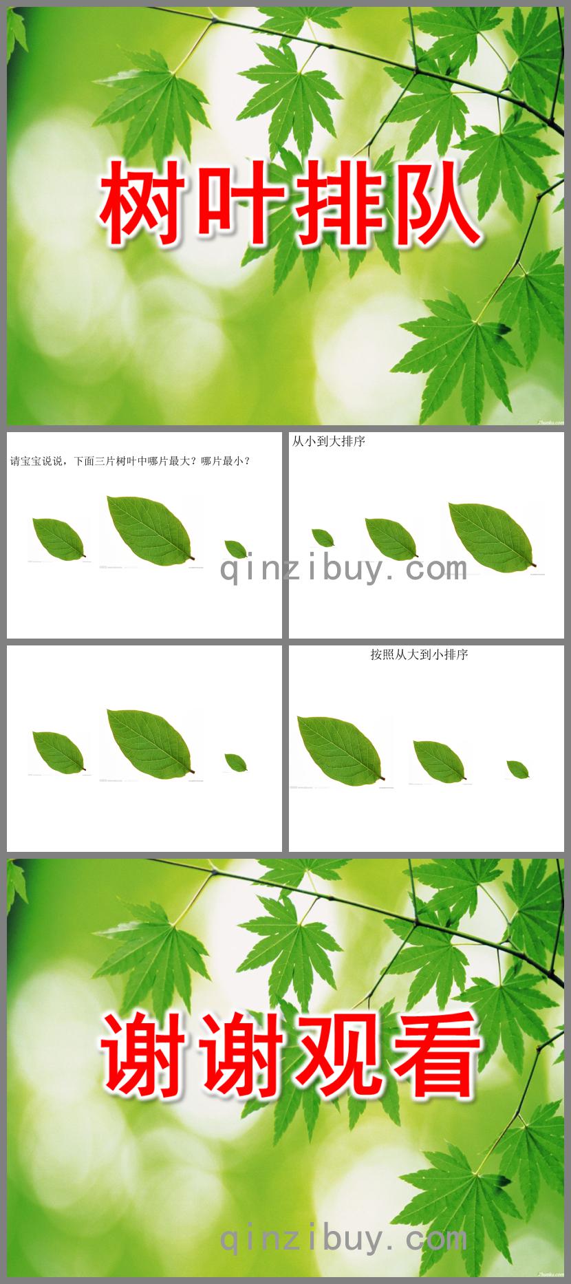 小班数学活动树叶排队PPT课件