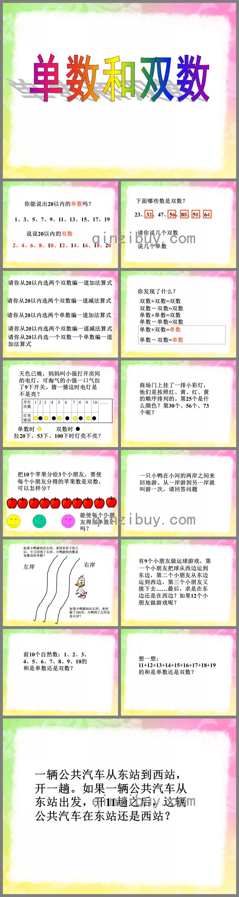 幼儿园单数双数PPT课件
