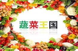 幼儿园蔬菜王国PPT课件