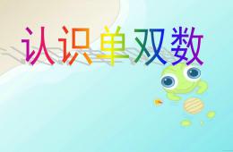 大班有趣的单双数PPT课件
