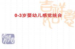 幼儿0-3岁感觉统合师资培训PPT课件