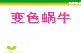 小班语言活动变色蜗牛PPT课件