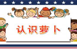 小班科学观察活动认识萝卜PPT课件
