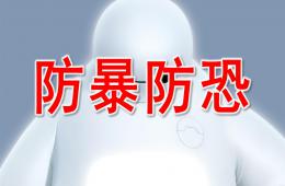 大班安全教育防暴防恐PPT课件