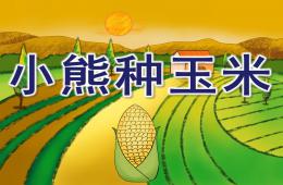 大班数学小熊种玉米PPT课件