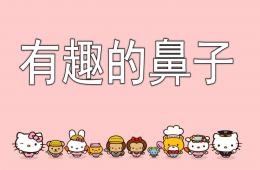 中班有趣的鼻子PPT课件