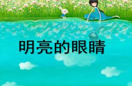 大班美术明亮的眼睛PPT课件
