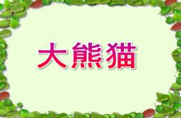 中班美术大熊猫PPT课件