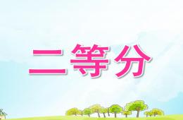大班数学活动二等分PPT课件