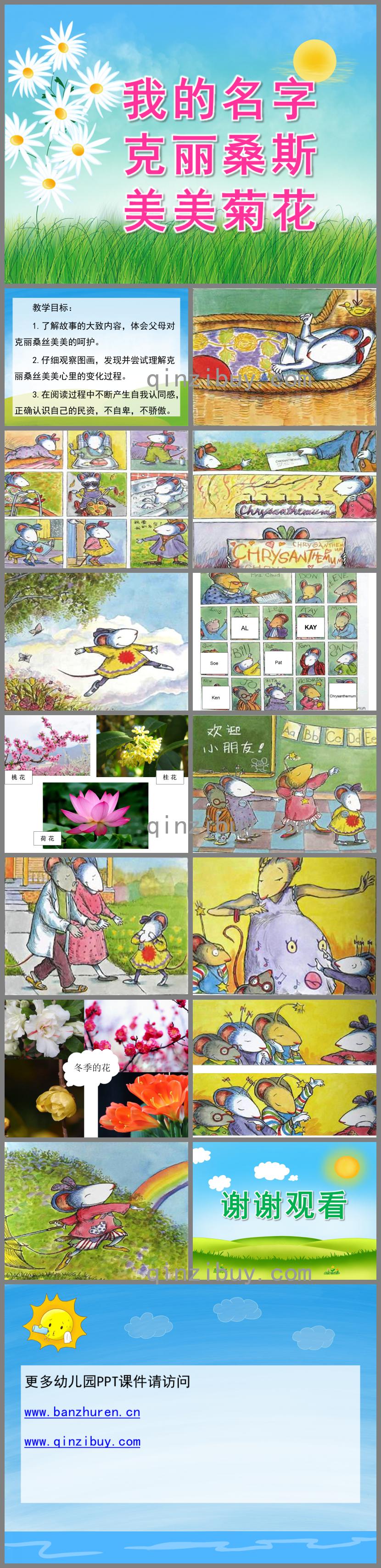 大班语言情景阅读我的名字克丽桑斯美美菊花PPT课件视频音频