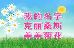 大班语言情景阅读我的名字克丽桑斯美美菊花PPT课件视频音频
