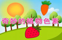中班科学奇妙的植物色素PPT课件视频