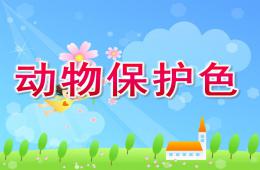 大班动物保护色PPT课件