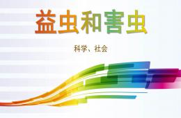 中班科学益虫和害虫PPT课件