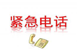 中班社会紧急电话PPT课件