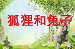 大班语言表演活动狐狸和兔子PPT课件