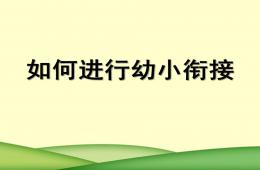 如何进行幼小衔接PPT课件