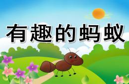 中班科学有趣的蚂蚁PPT课件