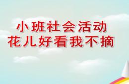 小班社会公开课花儿好看我不摘PPT课件