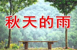 大班语言秋天的雨PPT课件